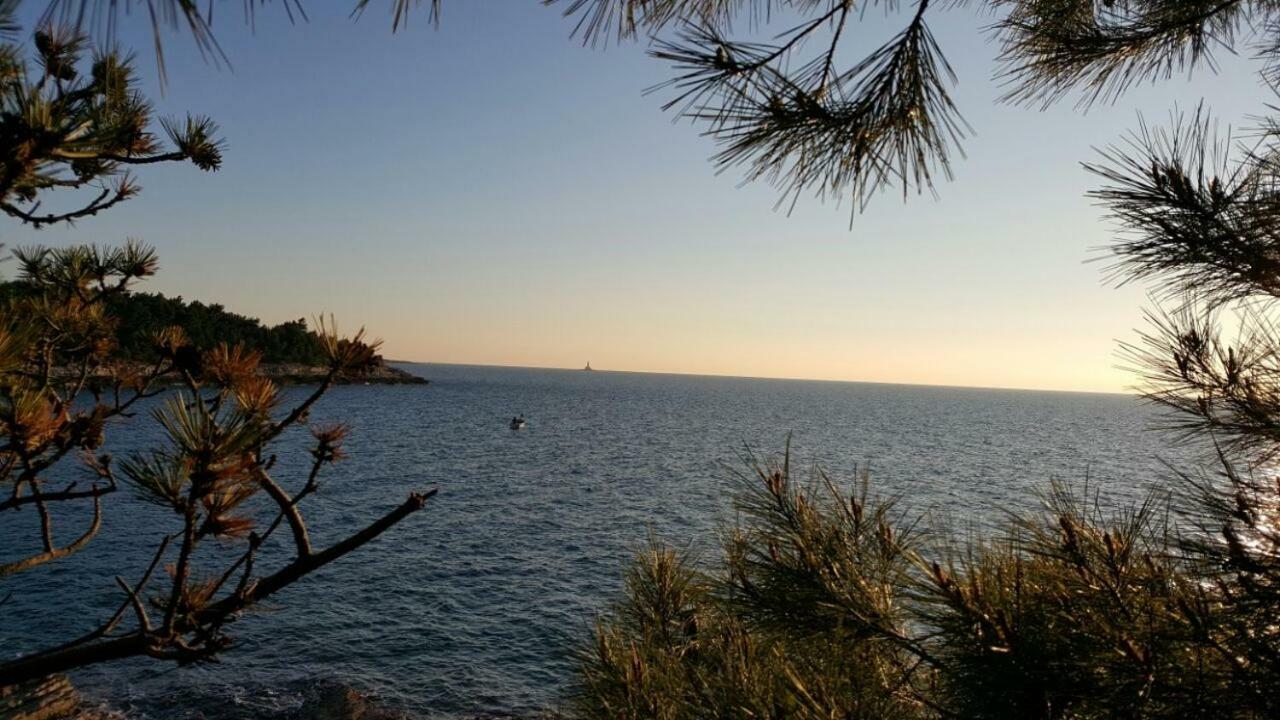 Vilic *