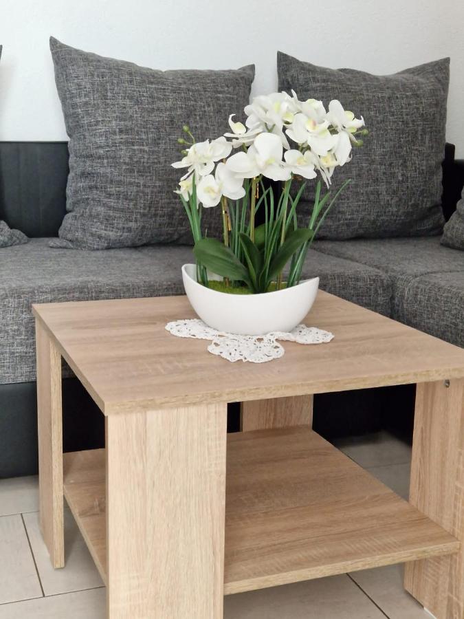 Vilic Apartment *