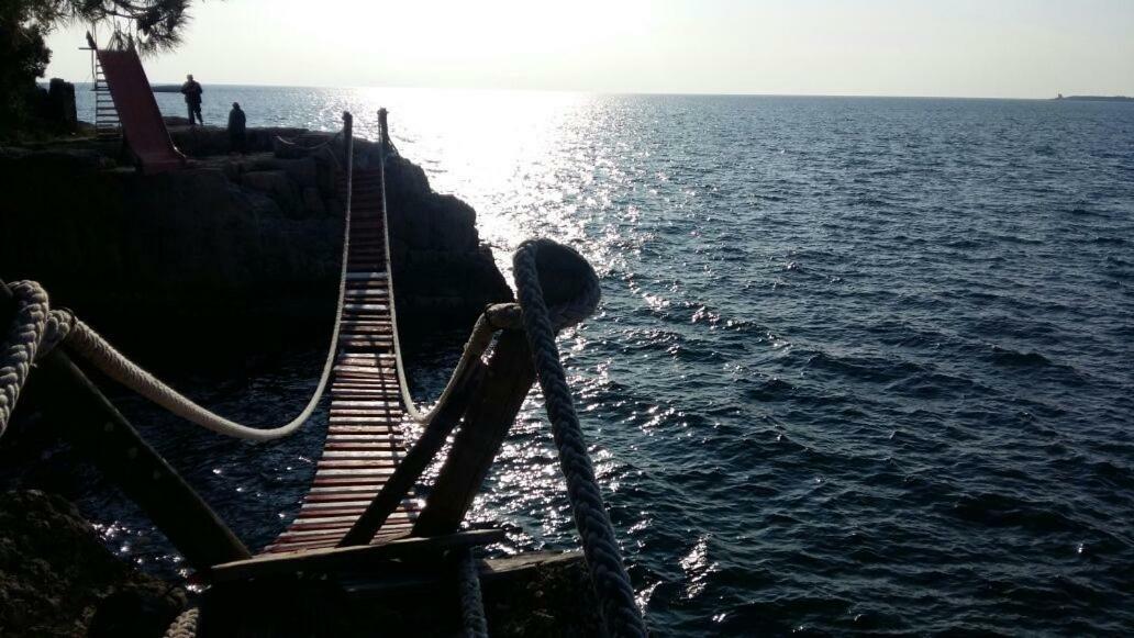 Apartment Vilic Pula