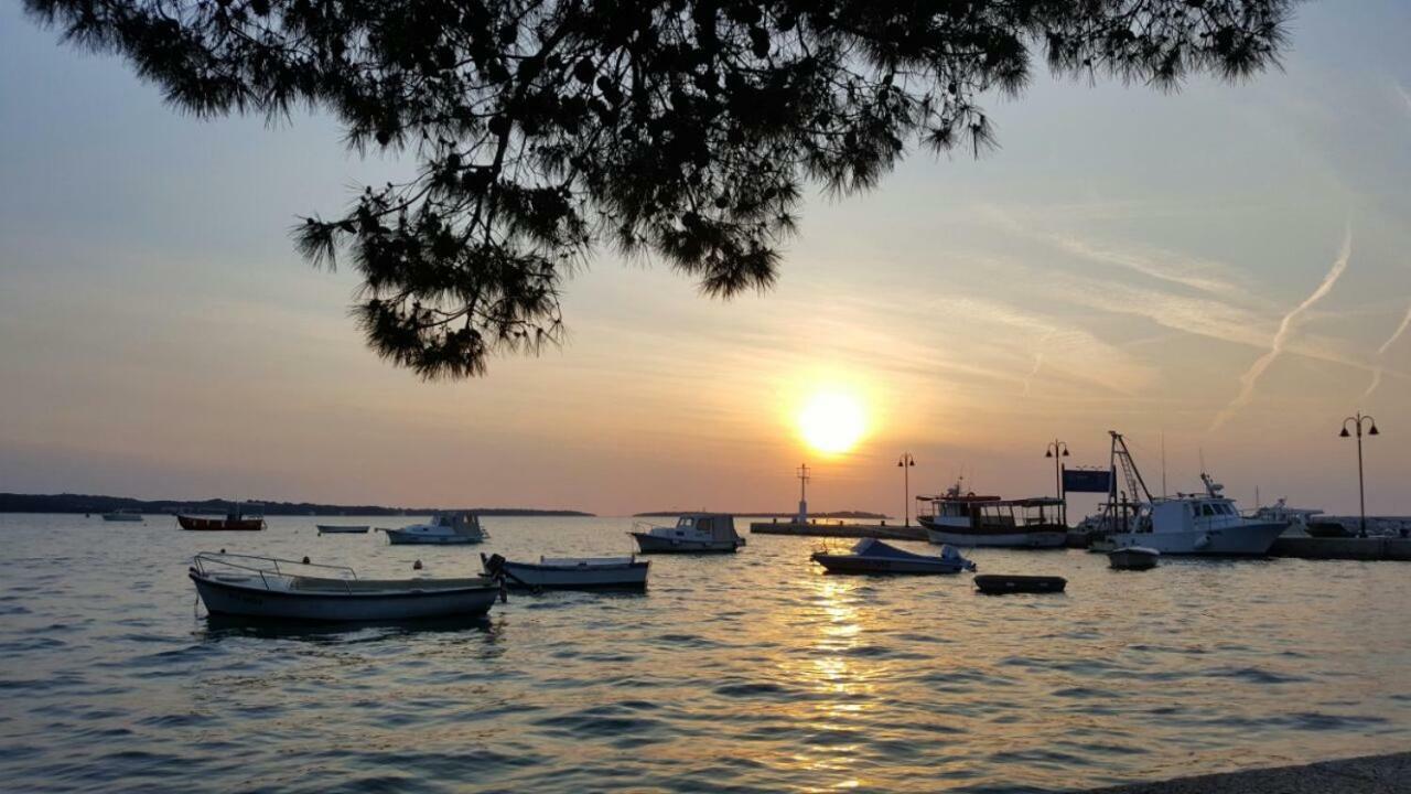 Vilic * Pula